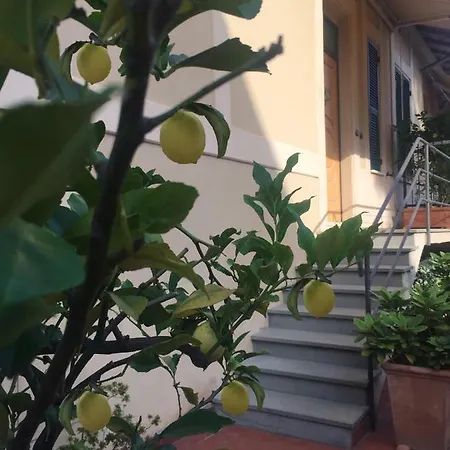 La Casa Dei Limoni Ff Ss